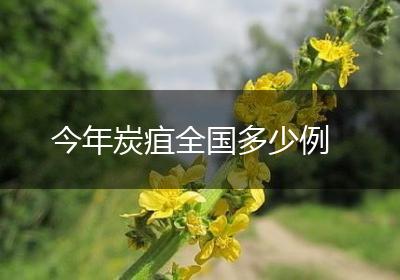 今年炭疽全国多少例