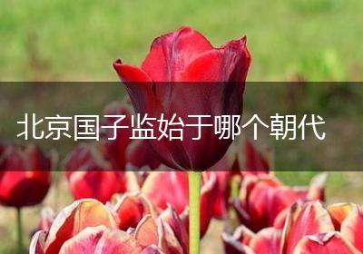 北京国子监始于哪个朝代