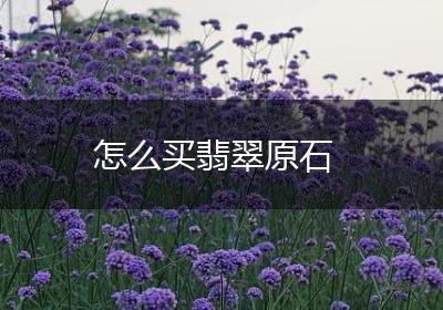 怎么买翡翠原石