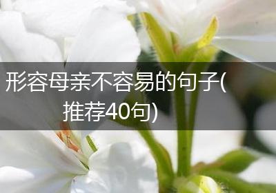 形容母亲不容易的句子(推荐40句)