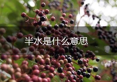 半水是什么意思