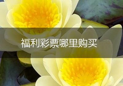 福利彩票哪里购买