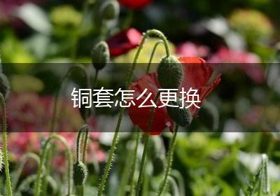 铜套怎么更换