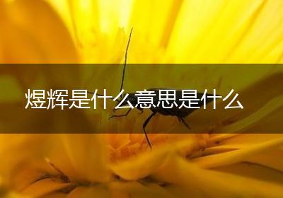 煜辉是什么意思是什么