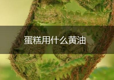 蛋糕用什么黄油