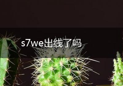 s7we出线了吗