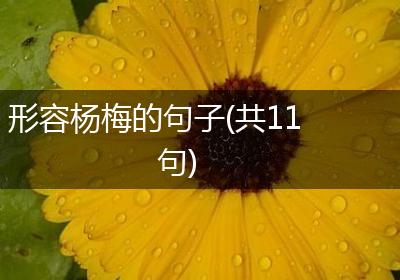 形容杨梅的句子(共11句)