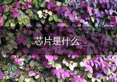 芯片是什么