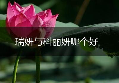 瑞妍与科丽妍哪个好