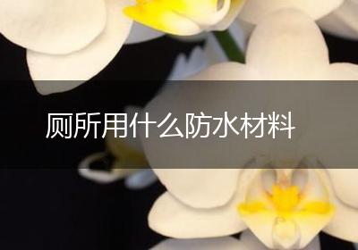 厕所用什么防水材料