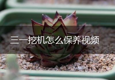 三一挖机怎么保养视频