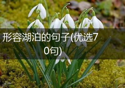 形容湖泊的句子(优选70句)