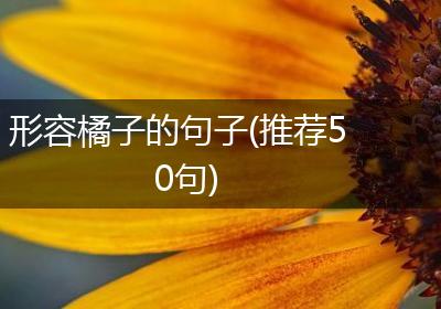 形容橘子的句子(推荐50句)