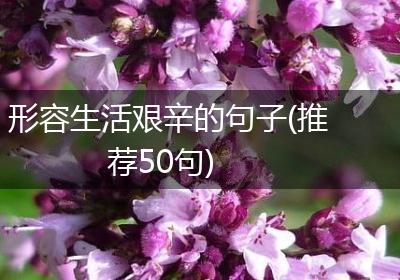 形容生活艰辛的句子(推荐50句)