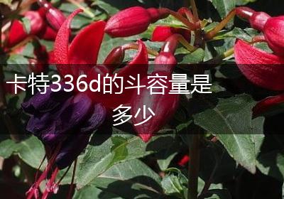 卡特336d的斗容量是多少