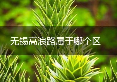 无锡高浪路属于哪个区