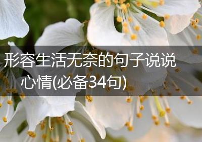 形容生活无奈的句子说说心情(必备34句)
