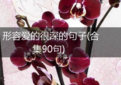 形容爱的很深的句子(合集90句)
