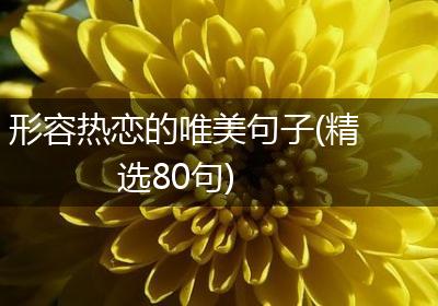 形容热恋的唯美句子(精选80句)
