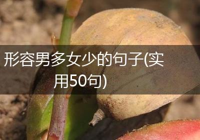 形容男多女少的句子(实用50句)