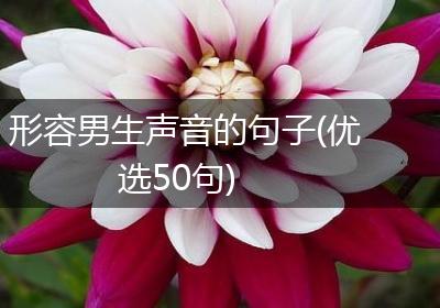 形容男生声音的句子(优选50句)