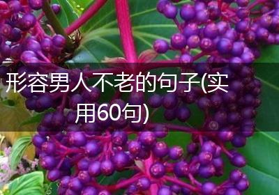 形容男人不老的句子(实用60句)