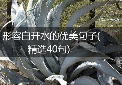 形容白开水的优美句子(精选40句)