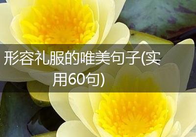 形容礼服的唯美句子(实用60句)