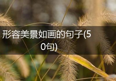 形容美景如画的句子(50句)
