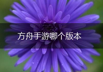 方舟手游哪个版本