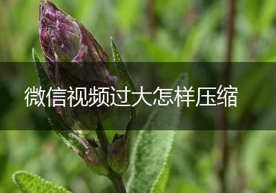 微信视频过大怎样压缩