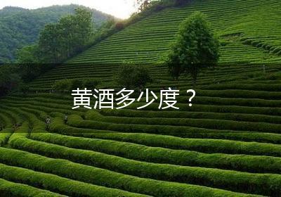 黄酒多少度？