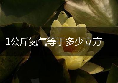1公斤氮气等于多少立方