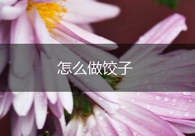 怎么做饺子