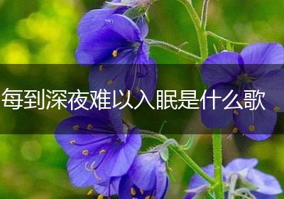 每到深夜难以入眠是什么歌