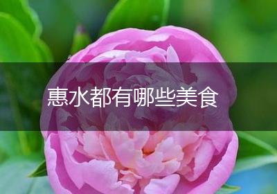 惠水都有哪些美食