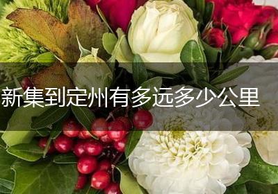 新集到定州有多远多少公里