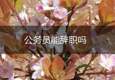 公务员能辞职吗