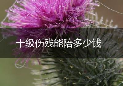 十级伤残能陪多少钱
