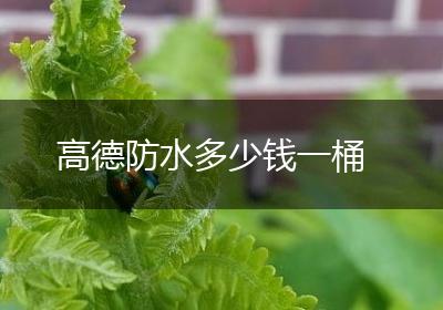 高德防水多少钱一桶