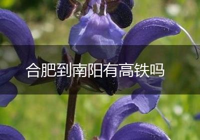 合肥到南阳有高铁吗