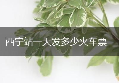 西宁站一天发多少火车票