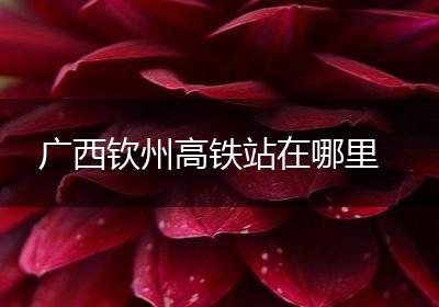 广西钦州高铁站在哪里