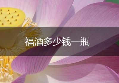 福酒多少钱一瓶