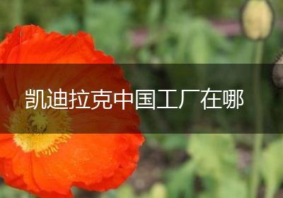凯迪拉克中国工厂在哪