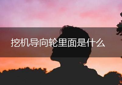 挖机导向轮里面是什么