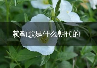 赖勒歌是什么朝代的