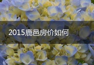 2015鹿邑房价如何
