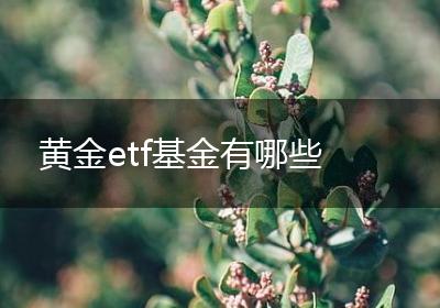 黄金etf基金有哪些
