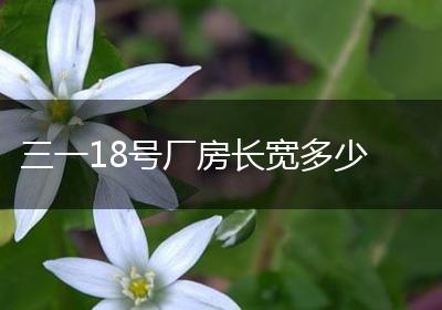 三一18号厂房长宽多少